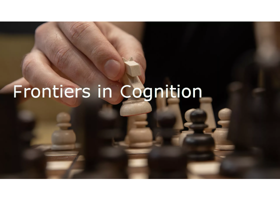 Paper accepted in Frontiers in Cognition